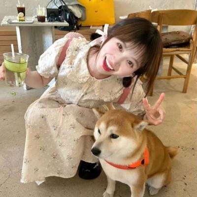 今天在这里